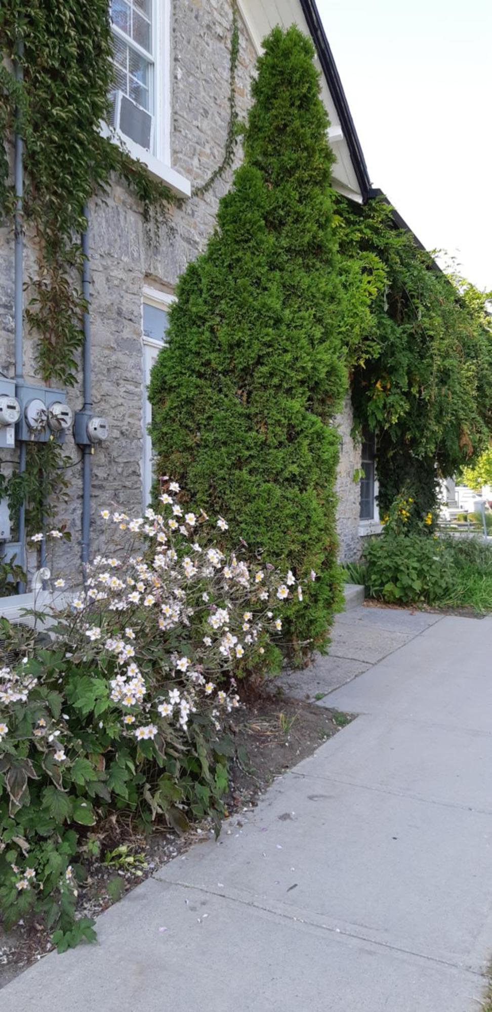 Villa Stone Carriage House Picton Esterno foto