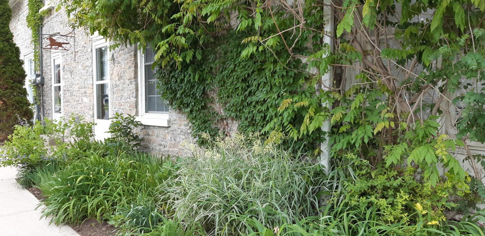 Villa Stone Carriage House Picton Esterno foto