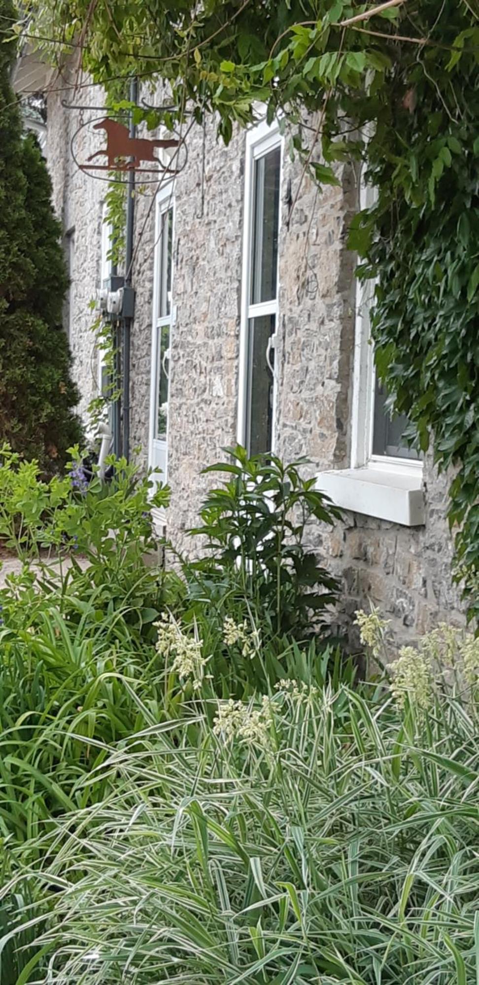 Villa Stone Carriage House Picton Esterno foto